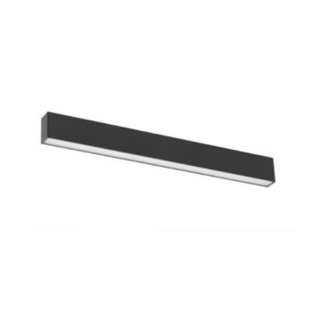 Magnetic Linear Light 96